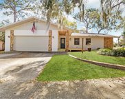 1456 Briarwood Court, Safety Harbor image