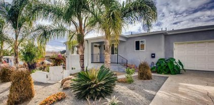 3895 Newton Ave, Logan Heights
