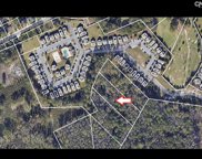 e/s Bluff Rd, Columbia image