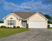 252 Hickory Springs Ct., Conway image