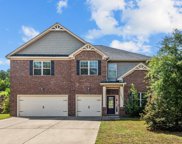 1055 Grey Duck Lane, Blythewood image