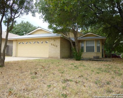 3658 Ridge Cluster St, San Antonio