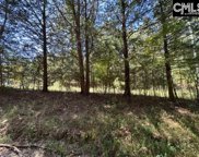 00 Cannon Swamp Road, Newberry image