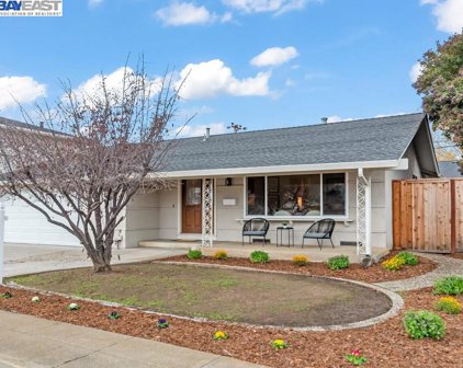 4701 Stratford Avenue, Fremont