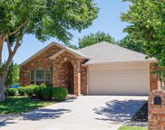 11528 Cactus Springs  Drive, Fort Worth image