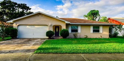 2653 Ocilla Court, Orlando