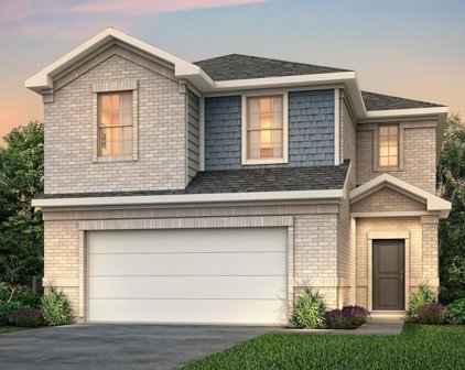 23339 Wise Walk, Katy