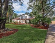 4509 Old Orchard Drive, Tampa image