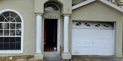 2829 S Brown Avenue, Orlando