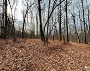 Lot 13 Rhododendron  Drive, Saluda image