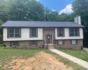 428 Kerri Drive, Center Point image
