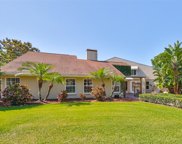 4502 Old Orchard Drive, Tampa image