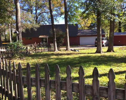 8 Briarwood Drive, Conroe