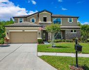 21632 Pearl Crescent Court, Land O' Lakes image