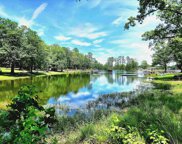 R B Baker Drive, Chapin image
