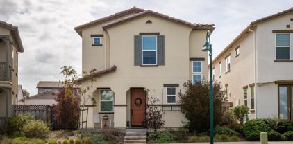 486 Palisade DR, Marina