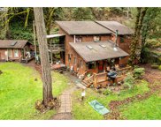 583 YELLOW CREEK RD, Oakland image