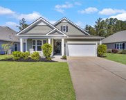 311 Great Harvest Road, Bluffton image
