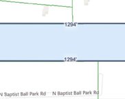 N Baptist Ballpark Road, Stapleton image