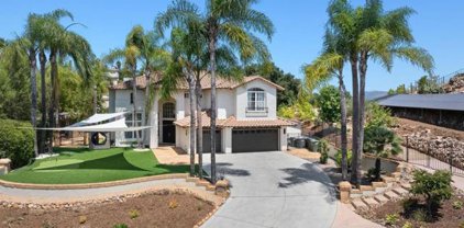 2467 Saffron, Escondido