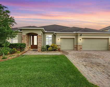 14426 Black Lake Preserve St, Winter Garden