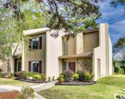 800 Egret Circle Unit #42, Little River image