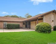 11401 Lone Shadow Trail, Live Oak image
