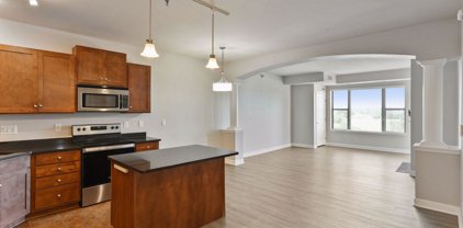 1155 Ford Road Unit #515, Saint Louis Park