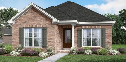8969 Gumwood St, Milton