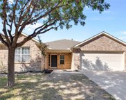 4817 Culberson  Court, Fort Worth image
