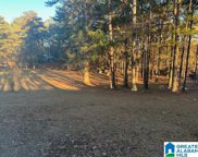 117 Minor Road, Gardendale image