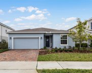 3131 Armstrong Spring Drive, Kissimmee image