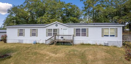 4734 Georgia, Grey Court