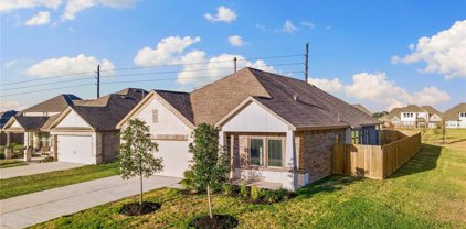 2442 Wembley Way Way, Rosenberg