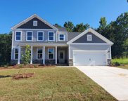 578 Wild Ginger Loop, Irmo image