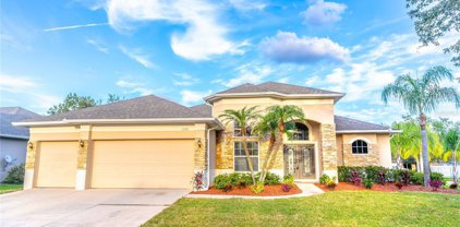 13201 Paloma Drive, Orlando