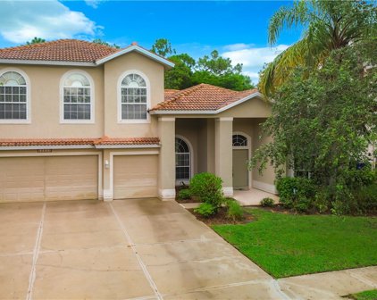 12399 Green Stone Court, Fort Myers