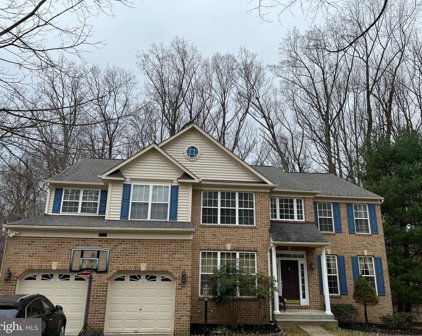 6113 Trackless Sea Ct, Clarksville