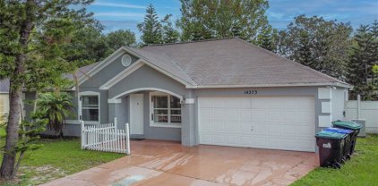 14273 Rensselaer Road, Orlando