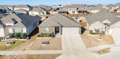 509 Passionflower  Drive, Fort Worth
