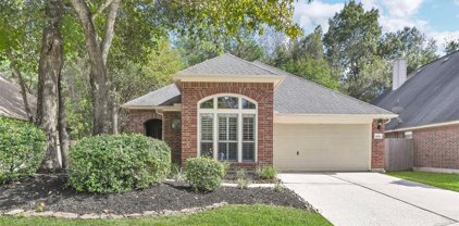 4606 Redwood Grove Court, Kingwood
