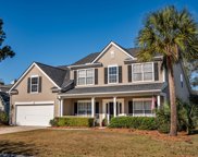 2387 Parsonage Woods Lane, Mount Pleasant image