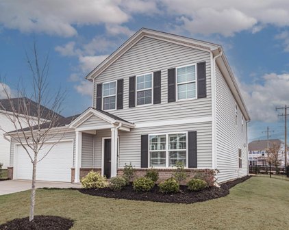 602 Whittier Street, Greenville