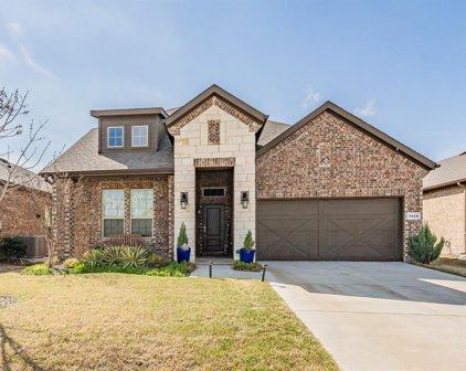 7412 Twisted Thicket  Lane, Little Elm
