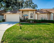 9722 Brookdale Drive, New Port Richey image