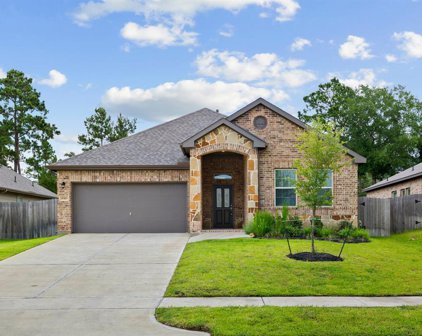 30413 Butternut Oak Lane, Magnolia