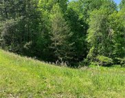Cain Forest Drive, Walkertown image