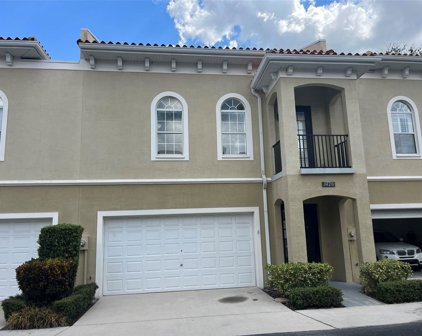 3420 Sondrio Circle, Tampa