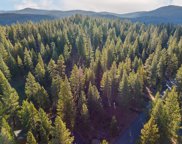 1046 Martis Landing, Truckee image