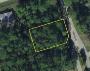 4 Sedum Court, Palm Coast image